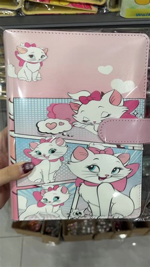 Many new binders!!!#binder #refillpaper #acrylicshaker #photoaphum #acrylic