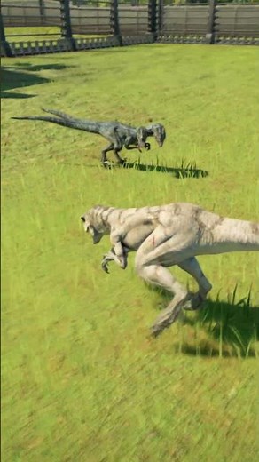 Velociraptor VS Atrociraptor #Imeroleplay #jurassicworld #dinosaur #jurassicpark #jwe2