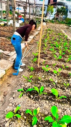 Efficient Vegetable Planting Technique 🌱 | Smart Farming Method#Farming#SmartFarming#shorts