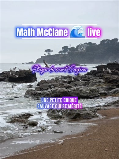 ​🇫🇷 La Plage de Saint-Eugène : Un Havre de Paix Français / English : ​Nichée entre la célèbre plage de Monsieur Hulot à Saint-Marc-sur-Mer et les falaises de Pornichet, la plage de Saint-Eugène est l'un des secrets les mieux gardés de la côte nazairienne. ​Contrairement aux grandes étendues de sable voisines, Saint-Eugène offre un cadre plus intime et sauvage. Encadrée par des falaises escarpées et une végétation côtière préservée, cette crique est idéale pour ceux qui cherchent à fuir la foul