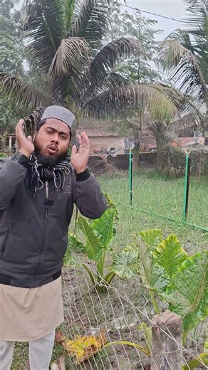 Artificial rain is being made. #agriculture #farmers