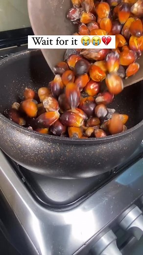 Common Food Processor Mistakes: What Went Wrong?