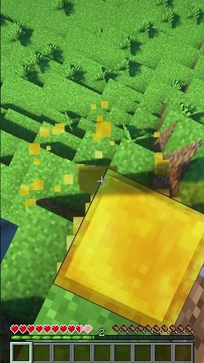 🍯 Honey Block Clutch!