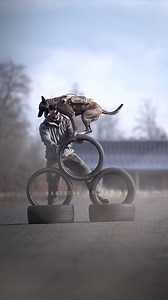 "Tactical dog gear is designed for working dogs that spend a great deal of time working in difficult terrain. It’s made to last and not fail despite extreme use and while my dogs are not put in those sorts of situations I like the peace of mind that sort of durability gives me. Can my harness fail? Of course, it can! Anything can and will fail given the right situation but I put a lot more trust in these harnesses than in the typical pet shop variety." ——Tales From Home Such as the FIRE TANKER K