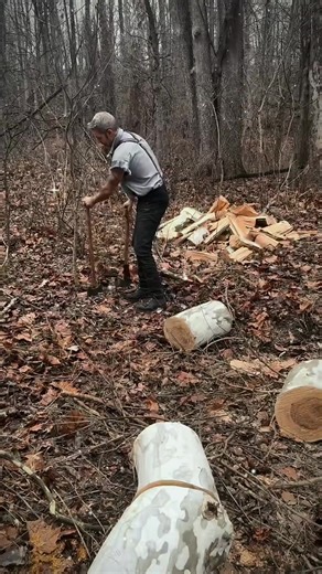 Sycamore Wood Bullet: Chopping Firewood Techniques