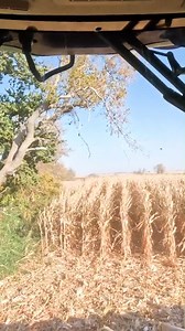 63K views · 1.1K reactions | New Farm New Experiences!! | Larson Farms | Facebook