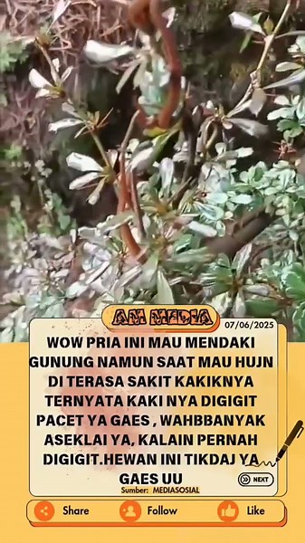 wow banyak banget 😲