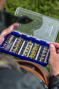 449K views · 5.2K reactions | Signature Tyer Paul Procter is a dry...