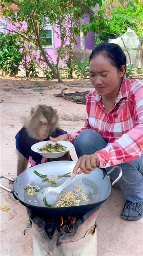 Great video Super SokYaa Very Adorable & Harmony Animals Around The World #shorts