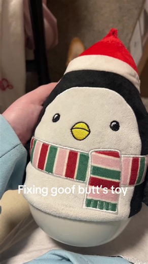 Corgi Toy Fixing Ideas: Keep Them Playful Longer