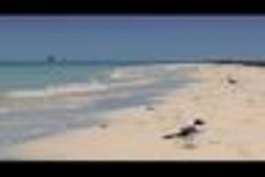 #16 Best Beaches / Relaxation Minute: Florida Keys