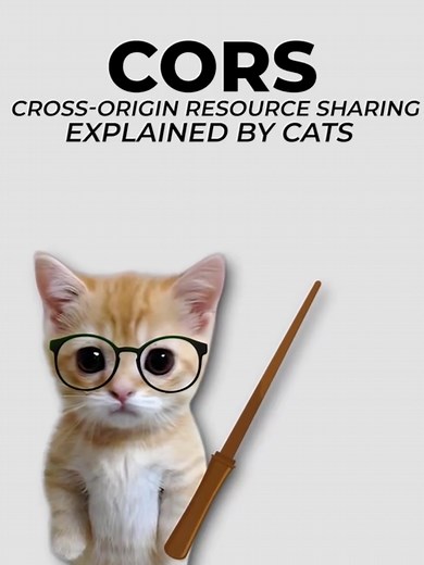 Understanding CORS in Web Development Explained by Cats