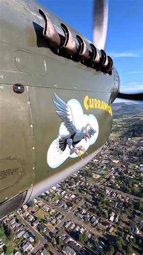 Soaring by the Sea Foundation on Instagram: "🚨 AIRSHOW UPDATE 🚨 New nose art from @djangostudios is looking AMAZING in flight 🙌 if you want to see it in person, the P40 will officially be at... SEAFAIR! We can't wait to see you there with the P40 alongside the PBY! ✈️ - #wwii #warbird #ww2 #aviationhistory #aviation #airshow"