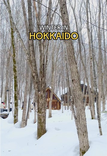 Winter Wonders of Sapporo: A Hokkaido Adventure