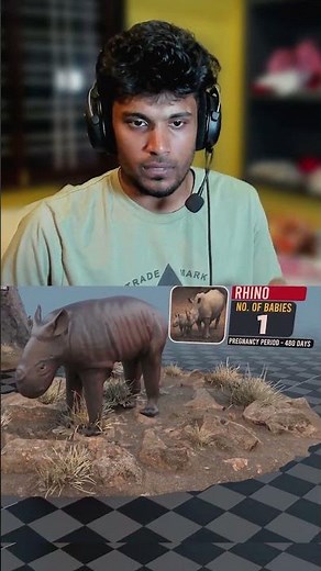 Birthing Wonders Comparing Animal Births#animalkingdom