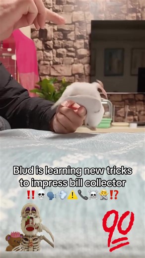 Blud learns new trick 🙏🥹👏🗣️💨‼️#donpollo #blud #billcollector #fyp #viral