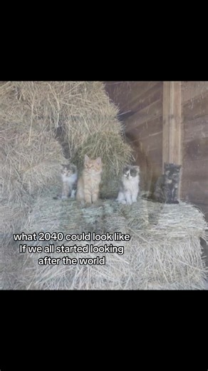 Imagining Earth in 2040: A Cleaner Future