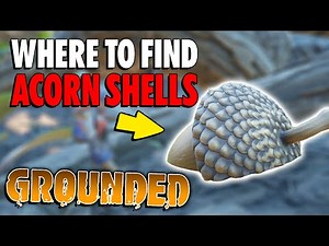 Where to find Acorn Shells and Tops in Grounded