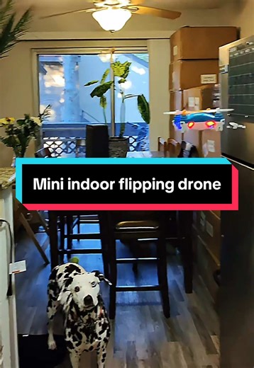 Mini Indoor Flipping Drone: Experience the Fun