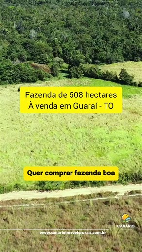 Fazenda de 105 alqueires à venda em Guaraí região médio/norte do Tocantins, excelente de chuva e desenvolvimento. Essa esta na beira da rodovia asfaltada! Apenas R$ 100 mil o alqueire! Siga @canarioimoveisrurais e me chame no particular para falarmos melhor sobre essa bela fazenda. #fazendaavenda #tocantins #agro #agricultura #pecuaria