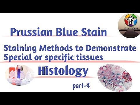 Prussian Blue Stain ll Staining Methods to Demonstrate Special or specific tissues ll Histopathology