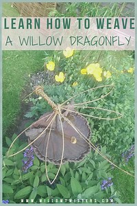 How to make a Willow Dragonfly - video tutorial - WillowTwisters