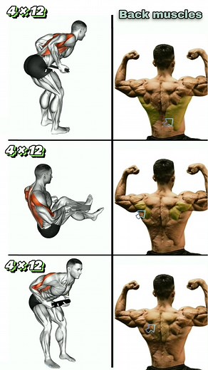 #back #muscle #workout #fitness #reels | Fit-workout body