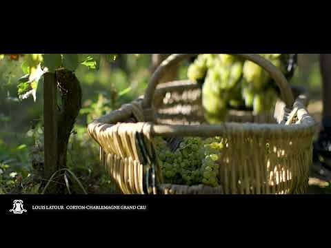 Louis Latour Corton Charlemagne Grand Cru Explained