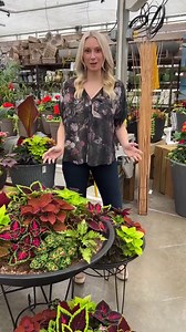 133K views · 2.3K reactions | We grow our own coleus here at West Coast Gardens and we love the colour and the way they grow into bright bushes of foliage! Heather has a great tip for you to keep your coleus from getting lanky...check it out! | West Coast Gardens | Facebook