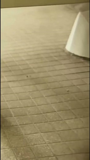 Loudest Fart Ever Produced!!! [Word Record]