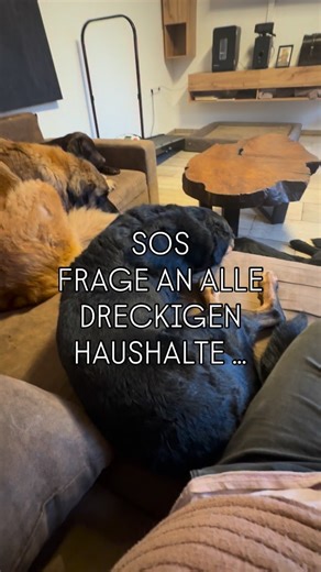 Ulmer Hundetrainer on Instagram: "Ich bin immer noch auf der Suche nach dem ultimativen Tipp. Sämtliche Wischroboter verteilen hier nur den Dreck. Einmal die Woche wird gewischt aber das reicht nicht aus - es muss geschrubbt werden. Hat mir jemand eine Idee? Eine Alternative zum Schrubben, die wirklich was bringt? Hab schon überlegt so einen Dampfreiniger oder Nasssauger oder Hyla oder Bissell zu kaufen aber ehrlich - keine Ahnung, ob die Dinge hier wirklich langfristig taugen! Anfangs dachten w