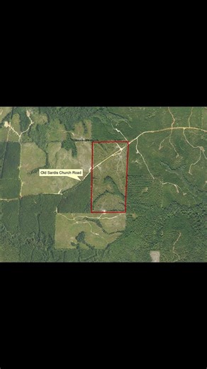 $199K for 78 Acres of Prime Off-Grid Hunting Land in Alabama#offgrid #property #huntingland