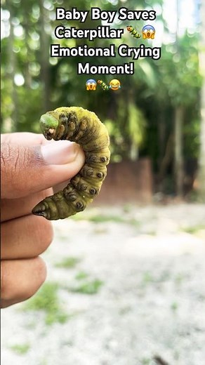 Baby Boy Saves Caterpillar 🐛😱 Emotional Crying Moment! #trending #chillcaterpillar #shortfeed