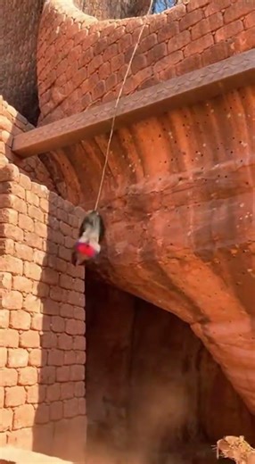 IQ 200 ESCAPE! Mandrill Uses Walls and Ropes to Toy with a Confused Leopard