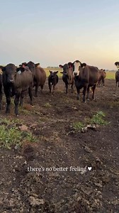 Still the sweetest lady 🌙🖤 | Andrea • That Fit Agvocate