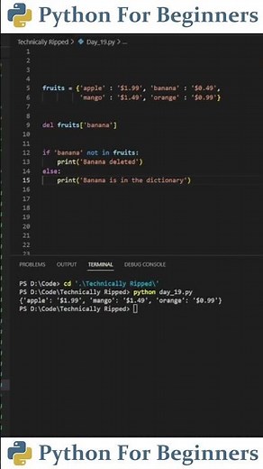 How To Delete A Key From A Dictionary | Python For Beginners