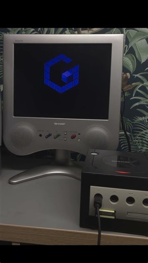 Who knew about this monstrosity? Not so secret.. #retrogames #fyp #nintendo #gamecube #retrogaming