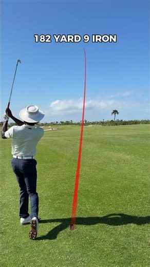 Lipped out for albatross after hitting the cart path on my drive