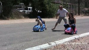 Dog vs Girl