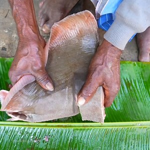 734K views · 6.8K reactions | Stingray fish cutting full process | stingray cooking | Indian tribe food | Facebook