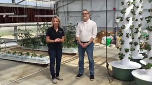 2.4K views · 24 reactions | We are lucky enough to have GREAT facilities for our students...including our greenhouse!  | Ivy Tech Community College | Facebook