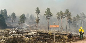 Montana wildland firefighter pilot killed in crash while fighting Horse Gulch Fire