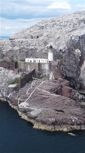 🪨 Bass Rock - The World’s Largest Gannet Colony