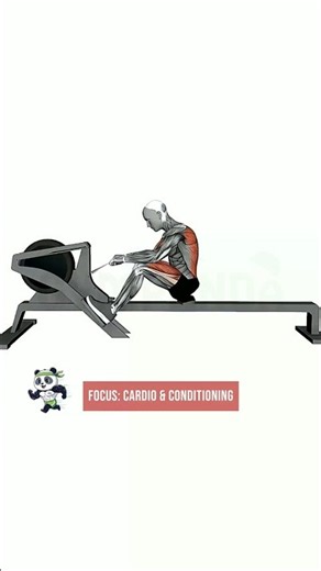 Gym Rowing Machine Sprint Speed Tutorial — Key Form Tips