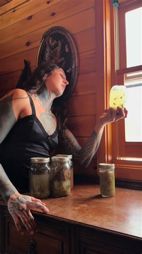 It may be 11 degrees with freezing rain and I've been stuck at home with a blown transmission but at least I have bubbly jar juice! My mind is blown after seeing how strong my little native plant yeast collection is after over 4 years of being reused for many batches of my forest brews I used to make. It's been 2 years since l've opened these jars. My favorite combo is hemlock cones, maple syrup and spring water. #offgrid #fermenting #nativeplantsofnorthamerica #plantmedicine #wildferment