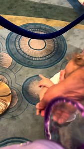 Sweet moment on Disney world Kids happily meet their favourite Disney characters #baby #babylove #kids #toddler #disney #disneyland #disneyword #disneycharacter #cute #adorable #love #wholesome #fyp #usa🇺🇸 #heartwarming #foryou | Bryan entertainment tv