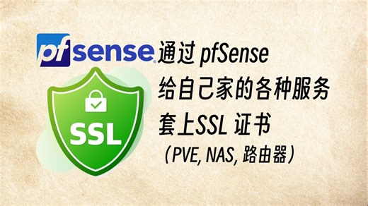 通过pfSense给自己家的各种服务套上SSL证书
