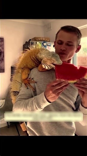 Dog Saves Lizard 🐶🦎 Amazing Rescue & Transformation Story! #shorts