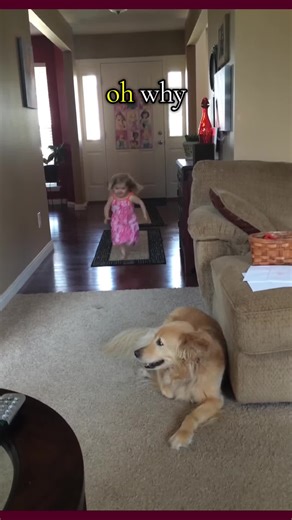 Danse de Bébé: Chanson et Musique avec Paroles