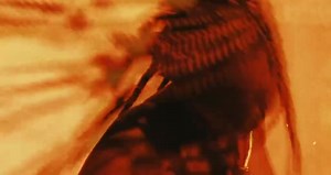 IF ORANGE WAS A PLACE. The EP✨ 15/09/2021 THIS WEDNESDAY🕊🕊🕊 | Tems